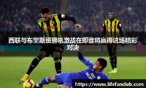 西联与布里斯班狮吼激战在即谁将赢得这场精彩对决